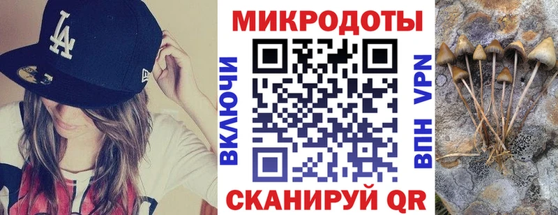 Псилоцибиновые грибы ЛСД  Новая Ладога 